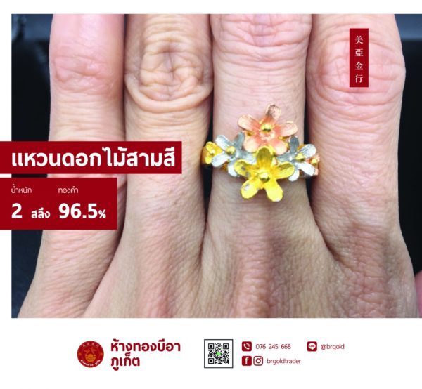 แหวนต่าง ๆ - Image 4